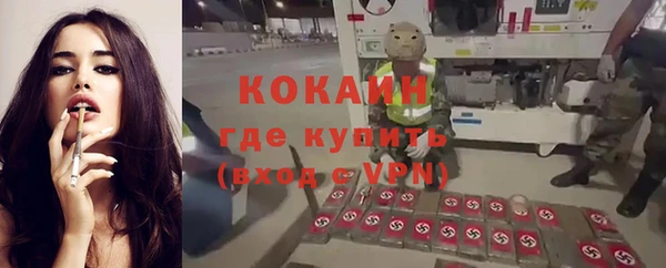 гидра Приозерск