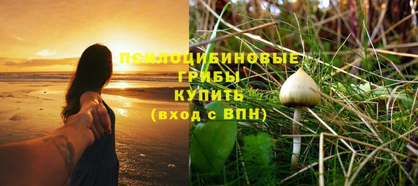 гидра Приозерск