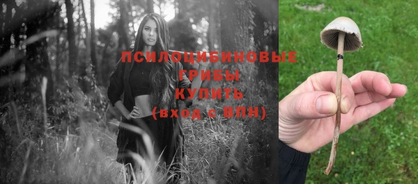 круглые Абаза