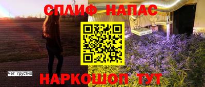 ПСИЛОЦИБИНОВЫЕ ГРИБЫ Дубна