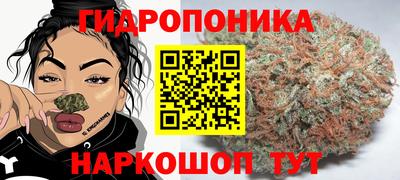 ПСИЛОЦИБИНОВЫЕ ГРИБЫ Дубна