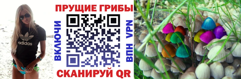 купить цена Новотроицк МЕГА ONION Галлюциногенные грибы Psilocybe